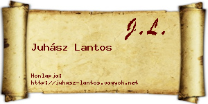 Juhász Lantos névjegykártya